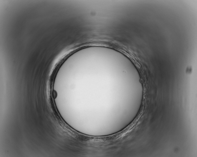 X0000100200294200805300753