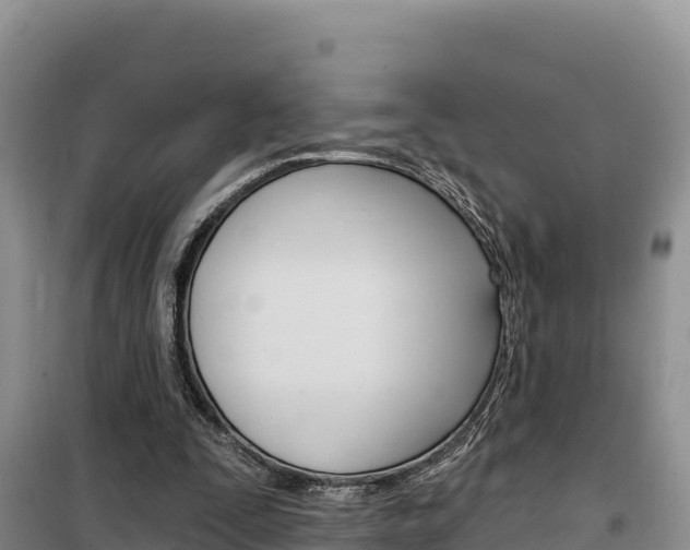 X0000100200295200805300753