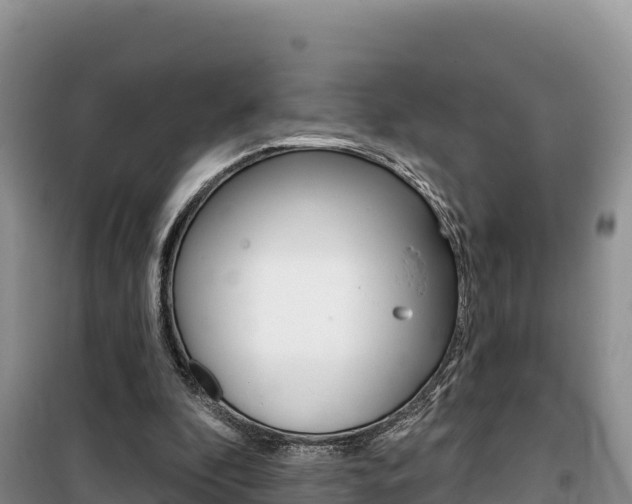 X0000100200296200805300753
