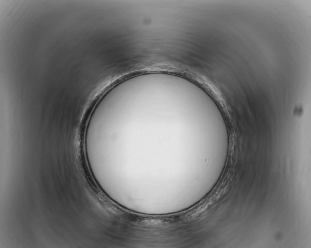 X0000100200298200805300753