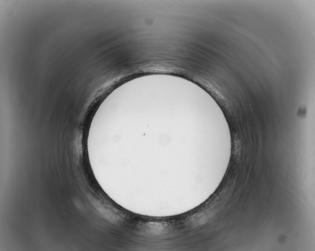 X0000100200302200805300753