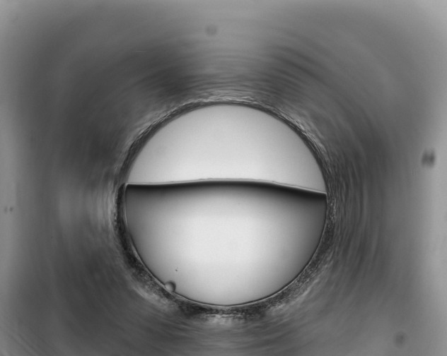 X0000100200303200805300753