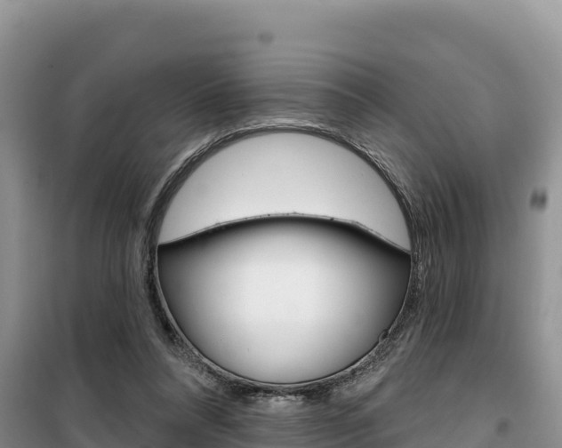 X0000100200304200805300753