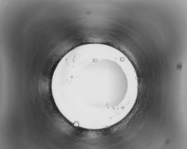 X0000100200305200805300753
