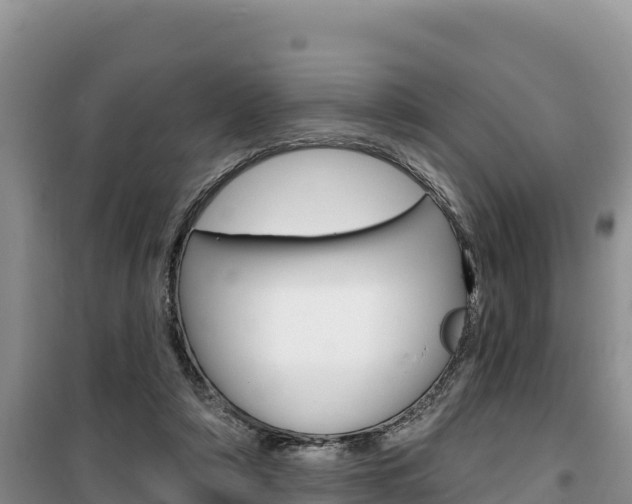 X0000100200306200805300753
