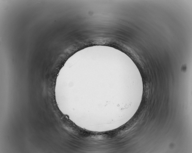X0000100200307200805300753