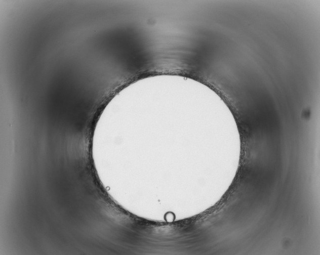 X0000100200309200805300753