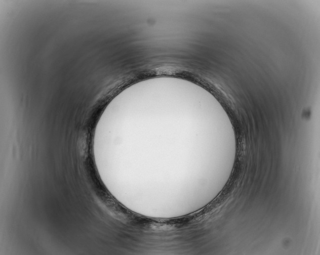 X0000100200311200805300752