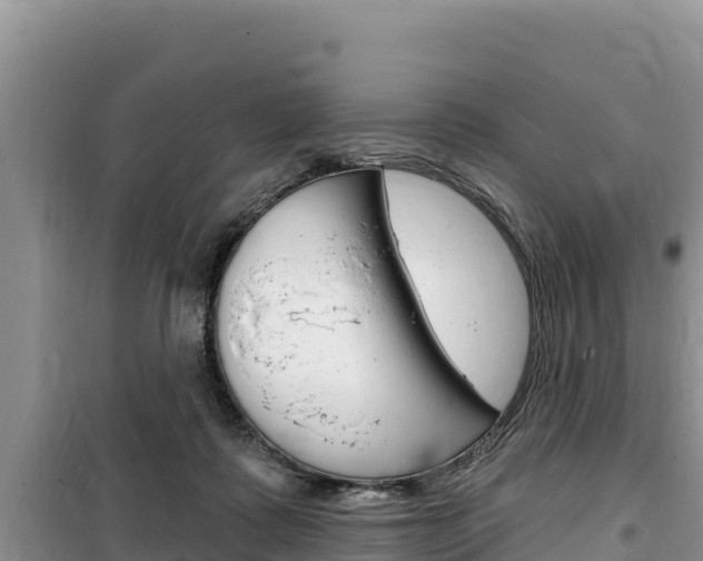 X0000100200315200805300752