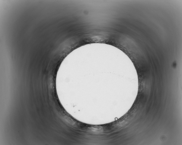 X0000100200317200805300752