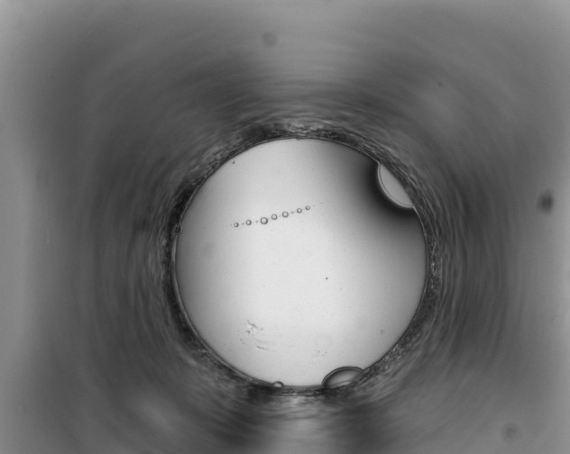 X0000100200319200805300752