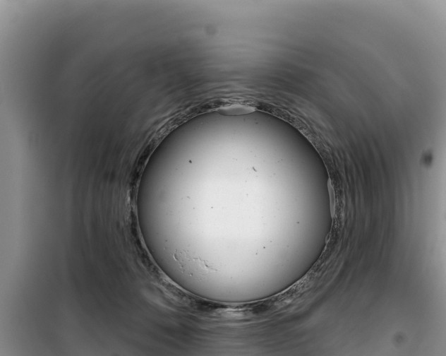 X0000100200320200805300752