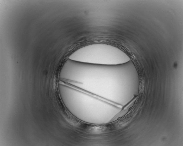 X0000100200323200805300752