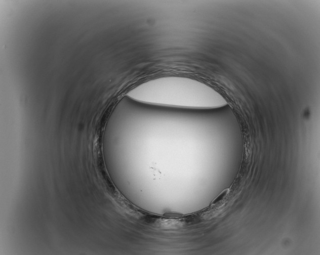 X0000100200327200805300752