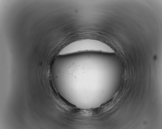 X0000100200328200805300752