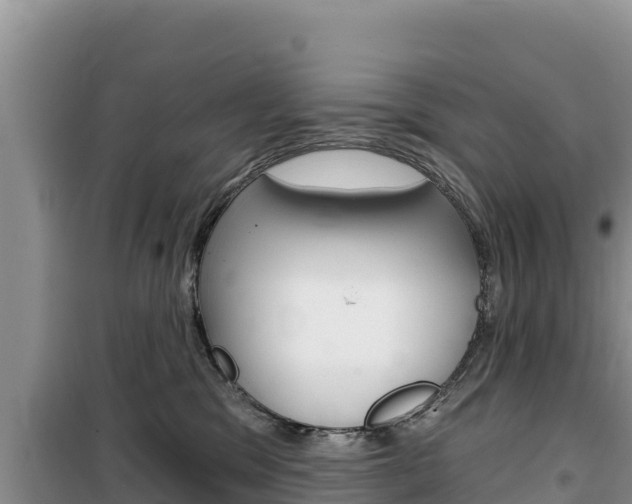 X0000100200329200805300752