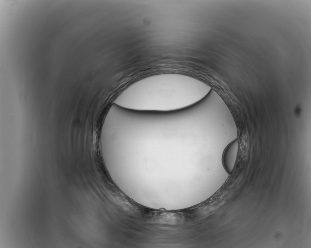 X0000100200330200805300752