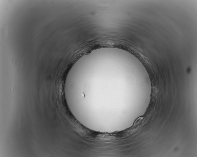 X0000100200331200805300752