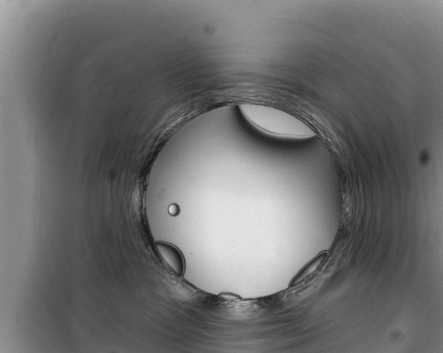 X0000100200333200805300752
