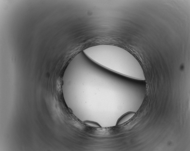 X0000100200335200805300752