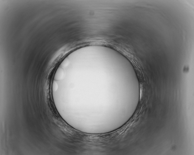 X0000100200339200805300752
