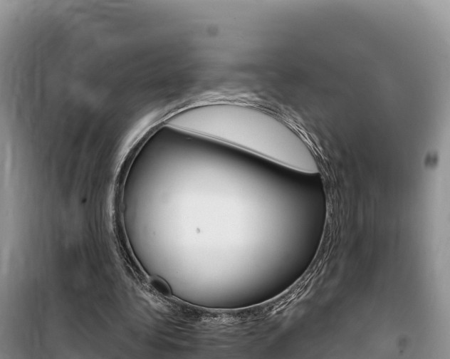 X0000100200340200805300752