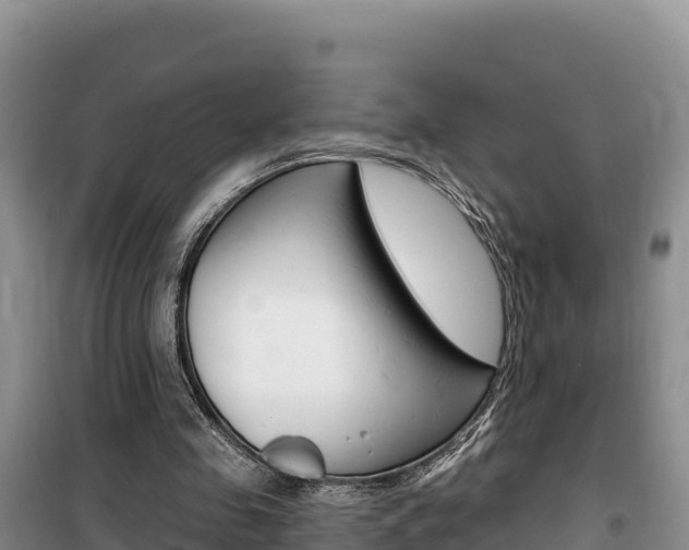 X0000100200341200805300752