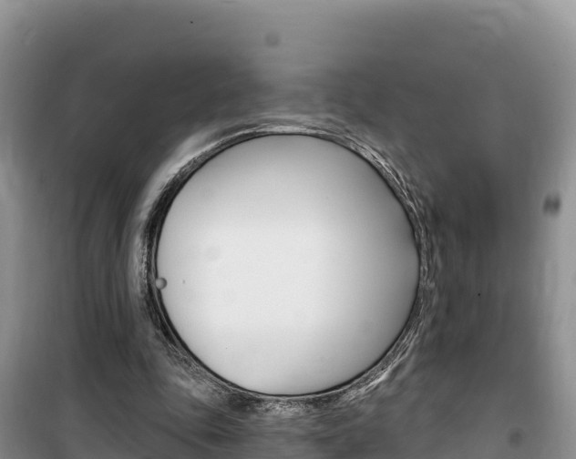 X0000100200343200805300752