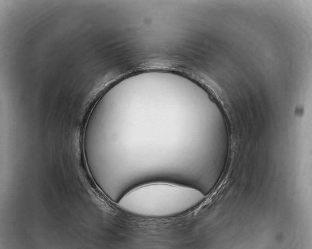 X0000100200345200805300752