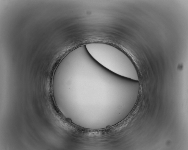 X0000100200353200805300752