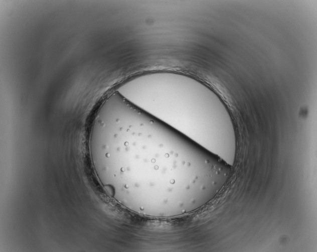 X0000100200354200805300752