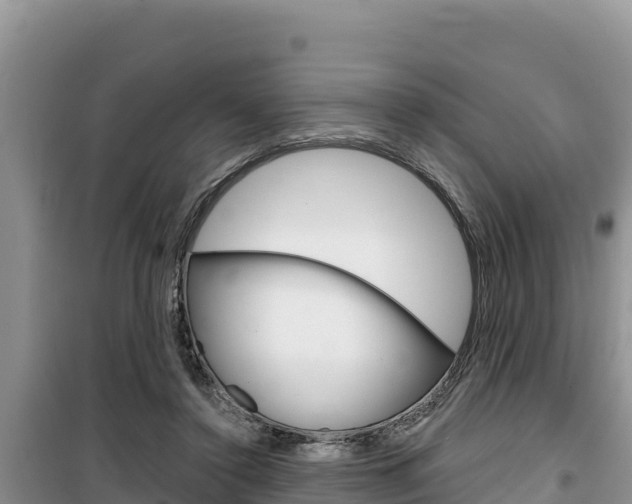 X0000100200356200805300752