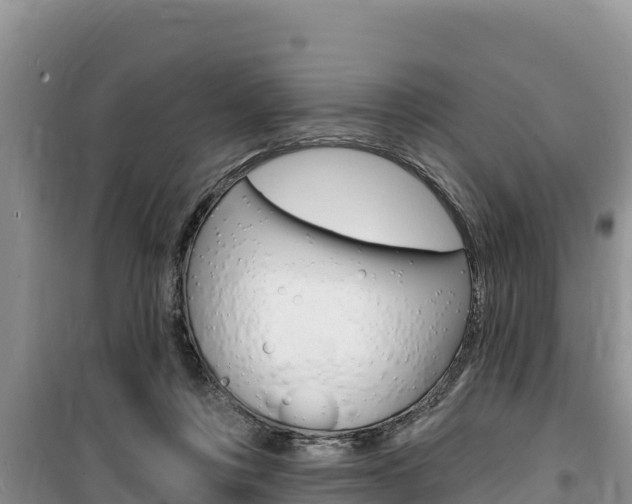 X0000100200359200805300752