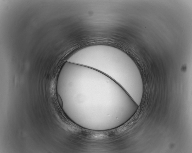 X0000100200360200805300752