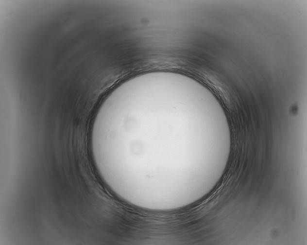 X0000100200362200805300752