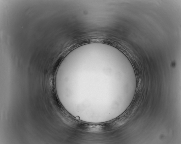 X0000100200363200805300752