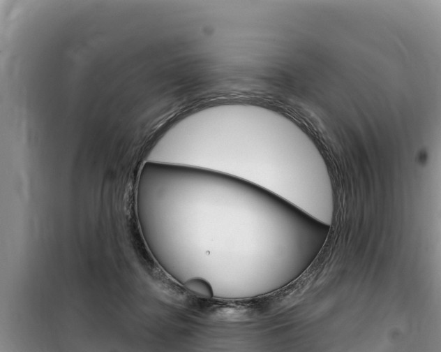 X0000100200364200805300752