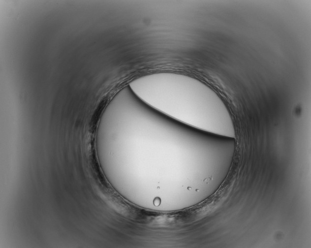 X0000100200366200805300752