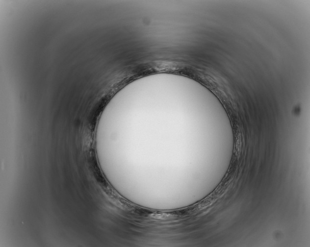 X0000100200367200805300752