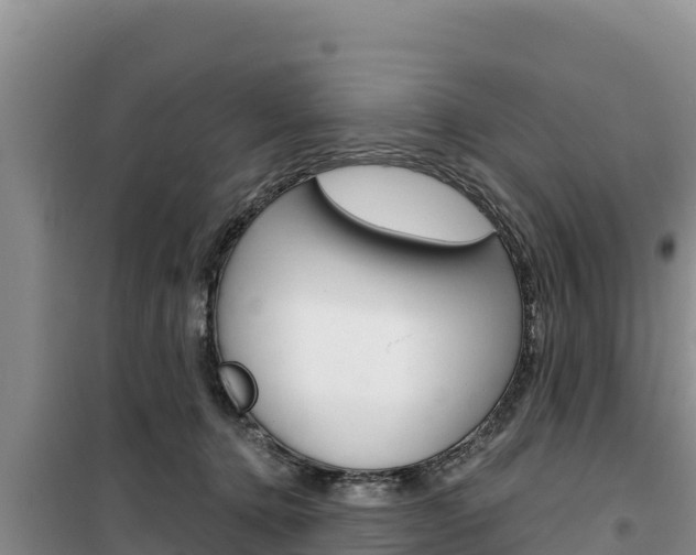 X0000100200368200805300752