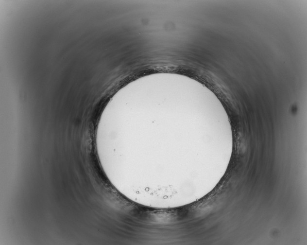 X0000100200370200805300752