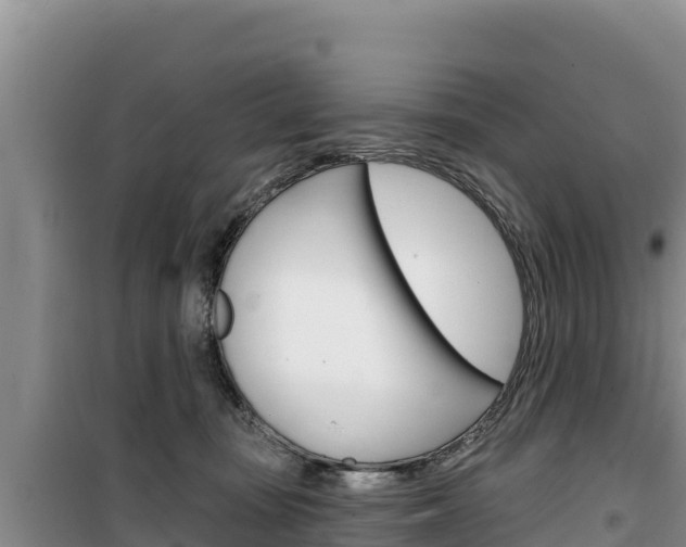 X0000100200371200805300752