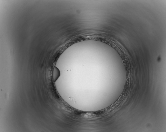X0000100200372200805300752