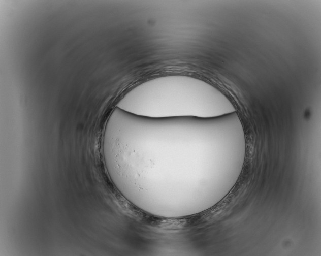 X0000100200373200805300752