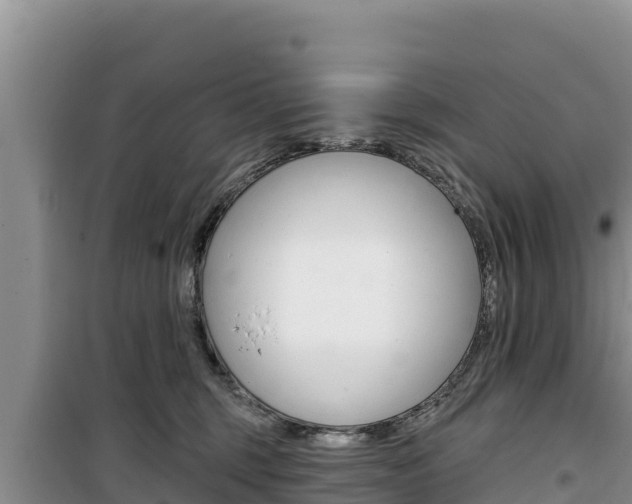 X0000100200375200805300752