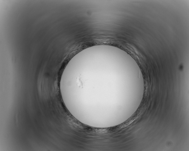 X0000100200377200805300752