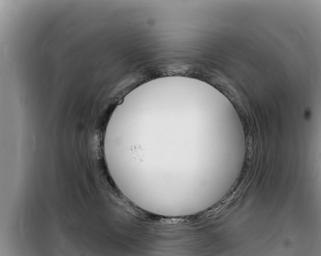 X0000100200378200805300752