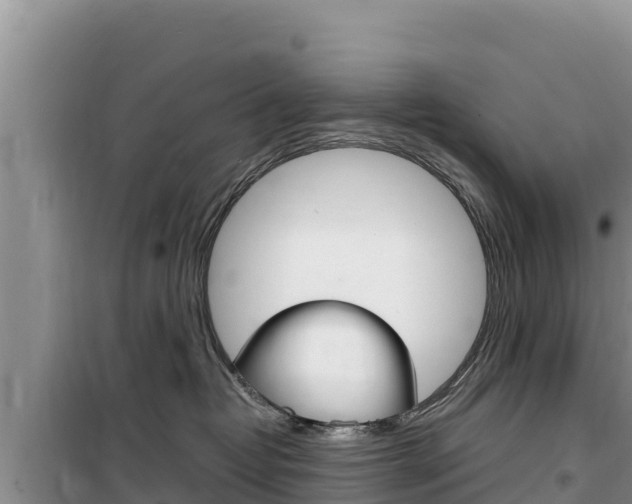 X0000100200382200805300752