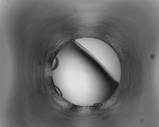 X0000100200384200805300752