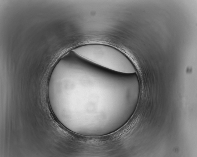 X0000100200385200805300752
